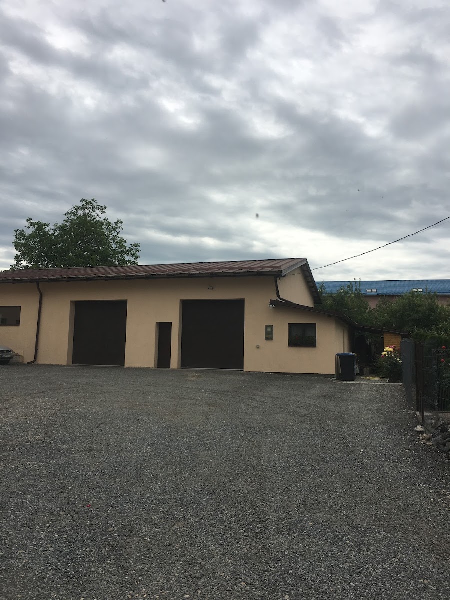 Sisteme multimedia auto Turda